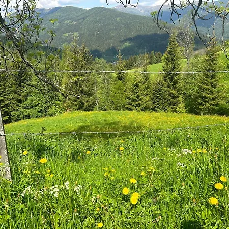 Preisoexlhuette In Sankt Veit Casa de Férias Schwarzenbach